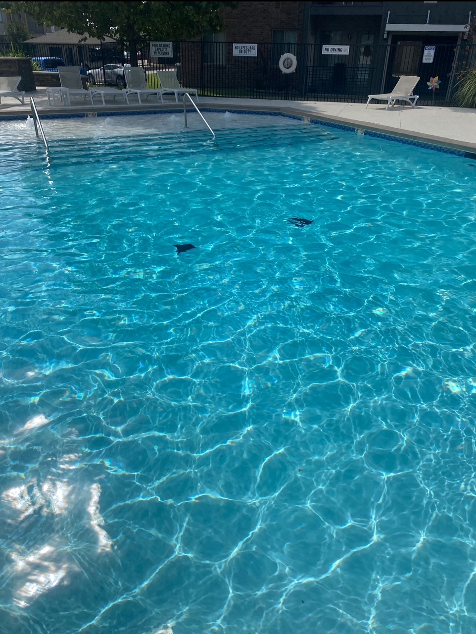 Pool shot
